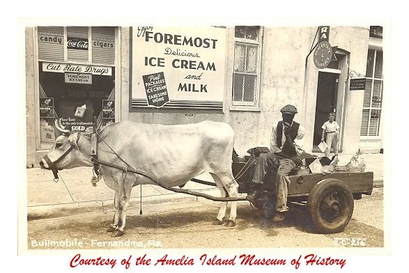 Arthur Simmons and his ox cart outside Waas Drug Store on Atlantic Avenue, 1952